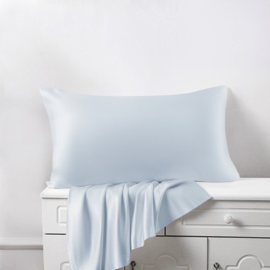 Buy Alice Blue 22 Momme Mulberry Silk Pillowcase with Hidden Zipper