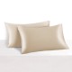Buy Beige 22 Momme Mulberry Silk Pillowcase with Hidden Zipper Buy Beige 22 Momme Mulberry Silk Pillowcase with Hidden Zipper