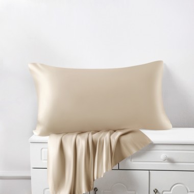 Buy Beige 22 Momme Mulberry Silk Pillowcase with Hidden Zipper