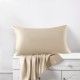 Buy Beige 22 Momme Mulberry Silk Pillowcase with Hidden Zipper Buy Beige 22 Momme Mulberry Silk Pillowcase with Hidden Zipper