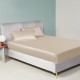 Buy Beige 22 Momme Mulberry Silk Sheet Set