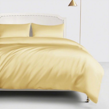 Buy Gold 22 Momme Mulberry Silk Duvet Cover