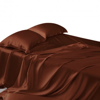 Buy Rust Red 22 Momme Mulberry Silk Sheet Set